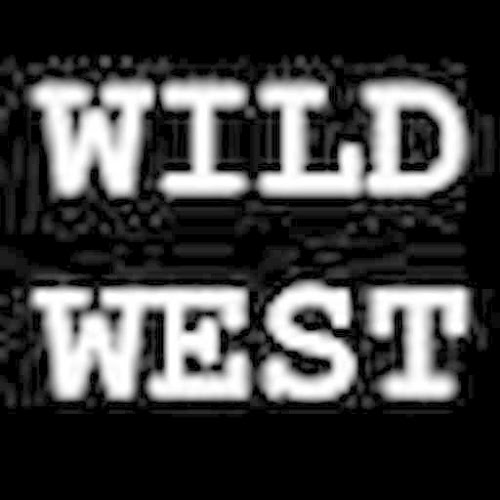 Wild West Arcade Shooter