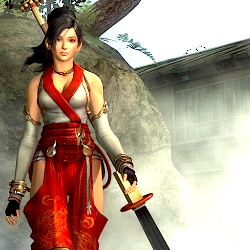 Superhero Ninja Iron Blade SIM