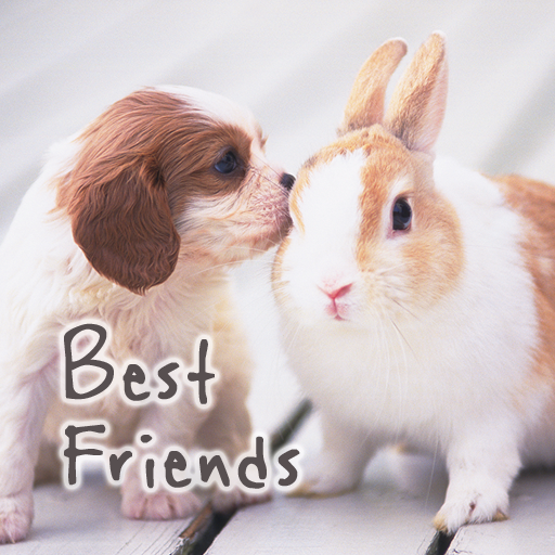 icon & wallpaper-Friends-