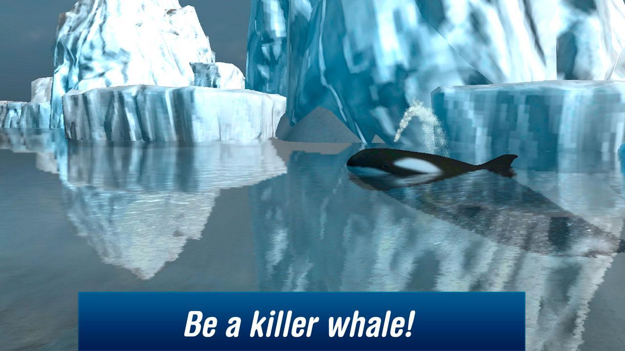 Killer Whale: Orca Simulator